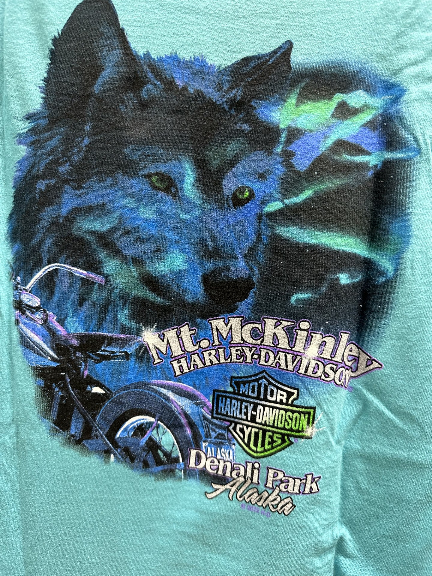 Northern Lights Wolf - Youth - Teal