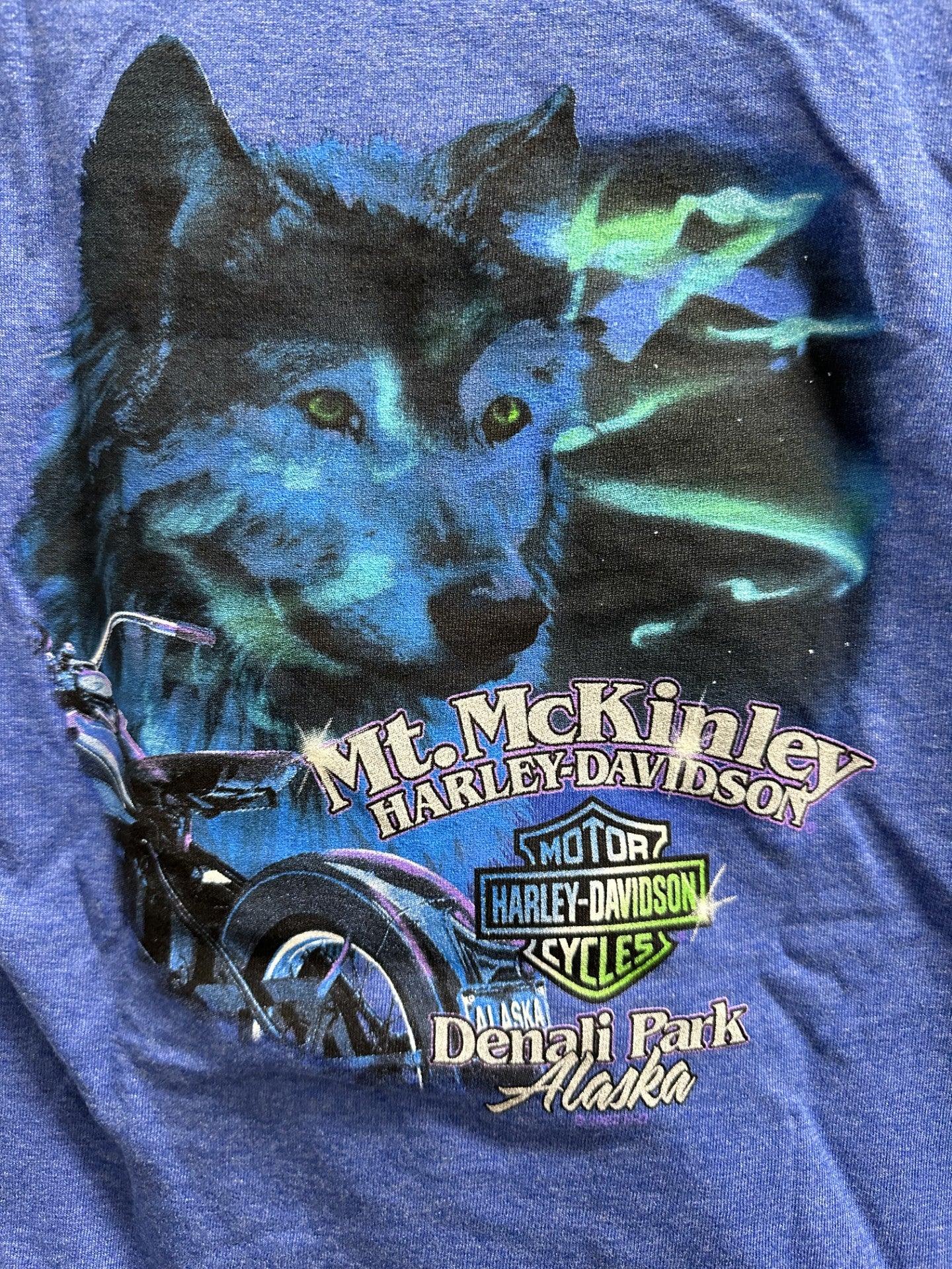 Northern Lights Wolf - Youth - Royal Blue