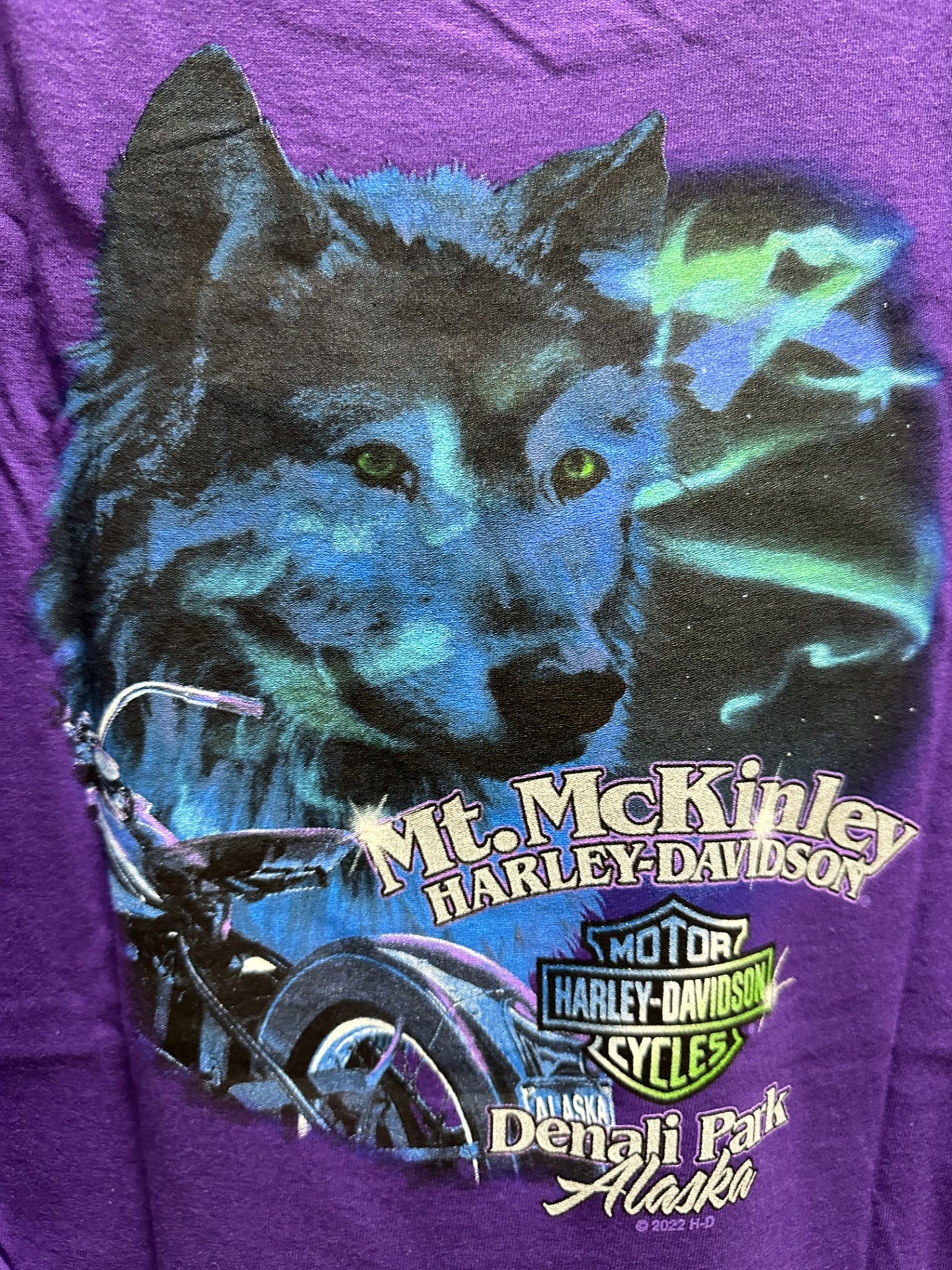 Northern Lights Wolf - Youth - PURPLE