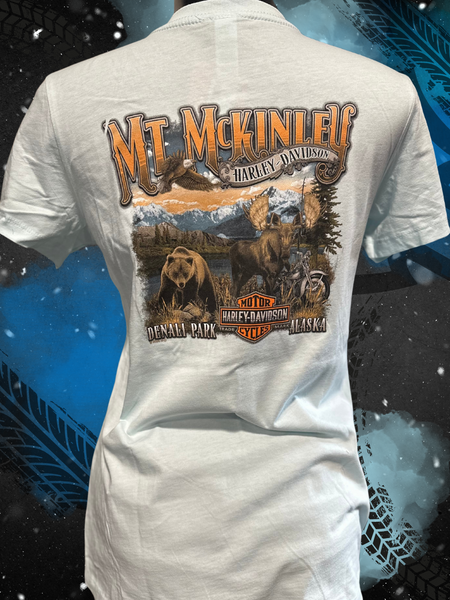 WMNS WILDLIFE LAKE - SHORT SLEEVE VNECK - SEAGLASS BLUE