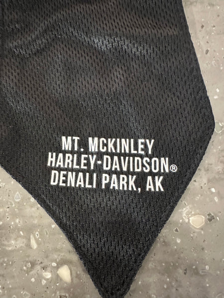 Custom Harley-Davidson DC Ride Hard Headwrap
