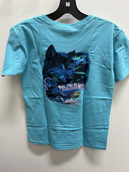 Northern Lights Wolf - Youth- Teal