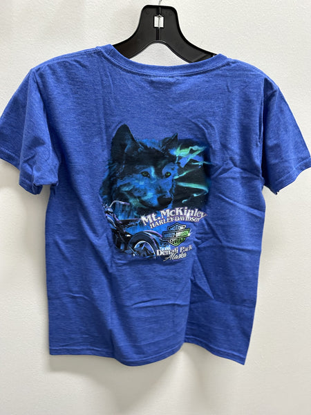 Northern Lights Wolf - Youth- Royal Blue