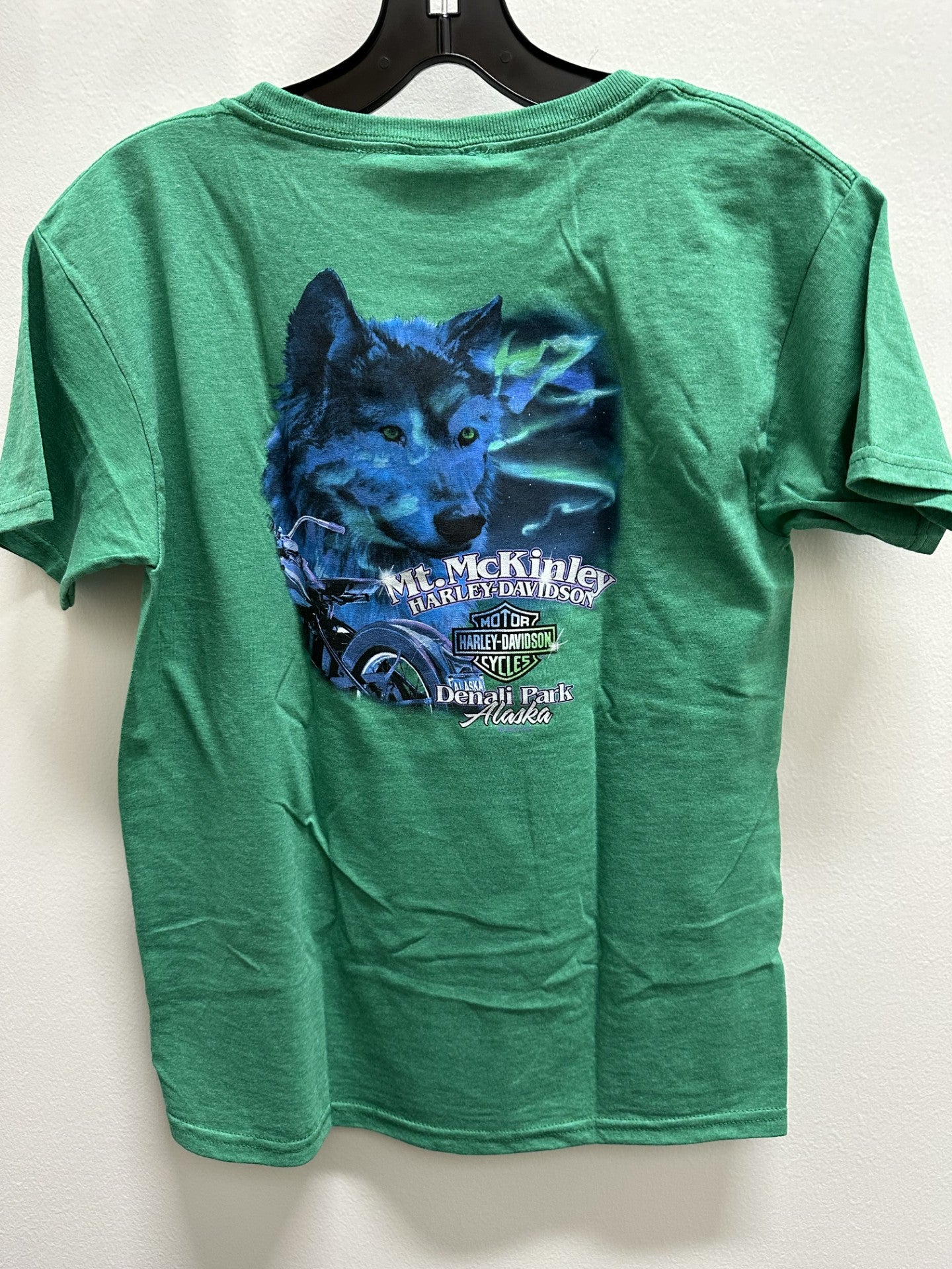 Northern Lights Wolf - Youth