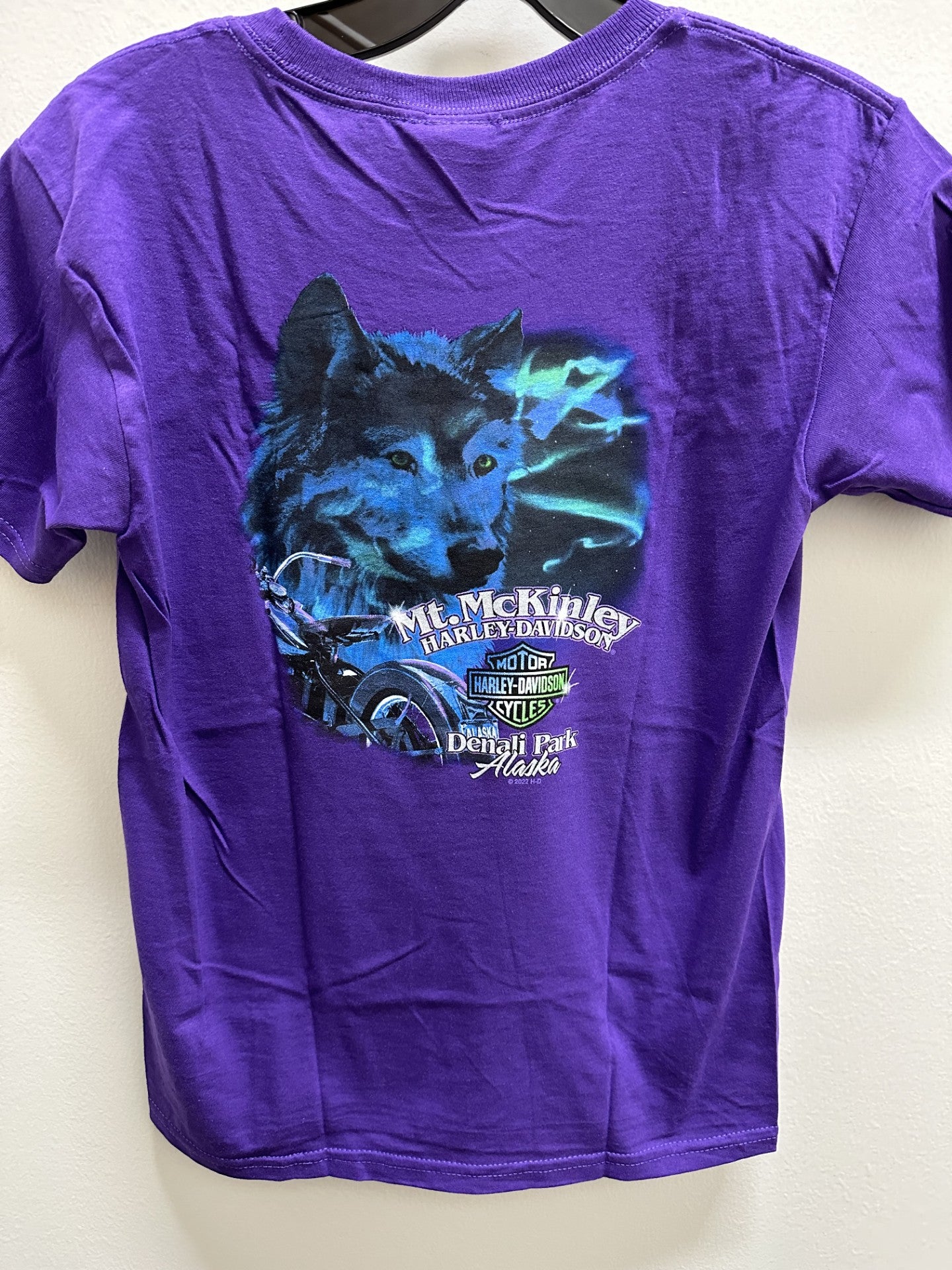 Northern Lights Wolf - Youth