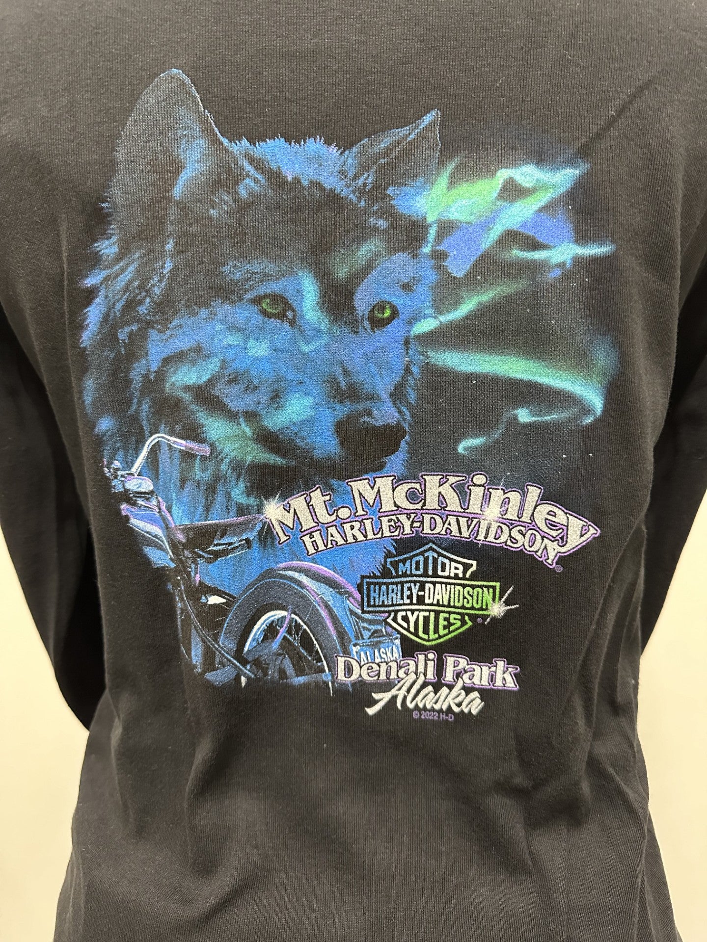 WMNS LONG SLEEVE W/ THUMB HOLES - NORTHERN LIGHTS WOLF