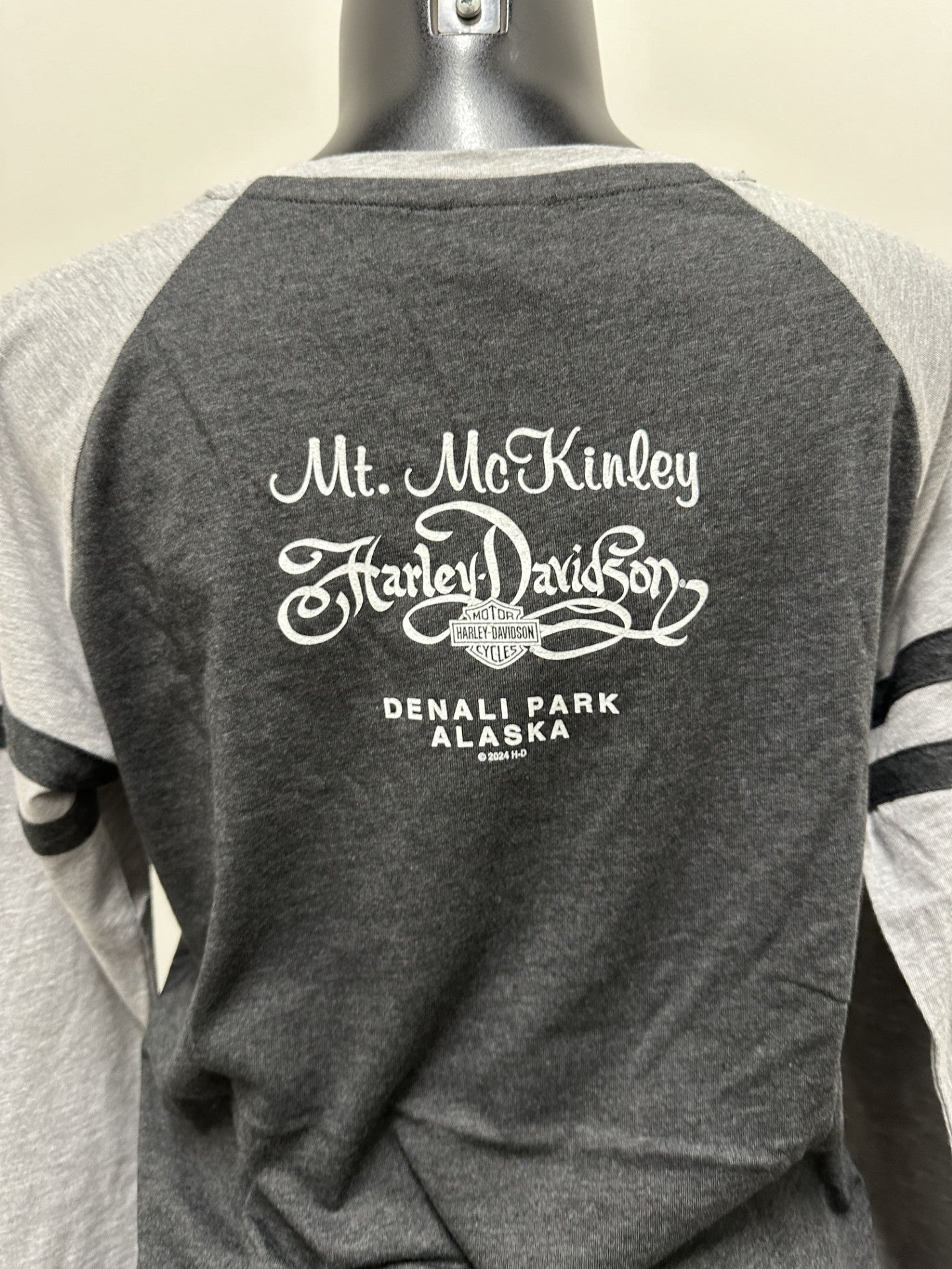 WMNS WILD &FREE LONG SLEEVE